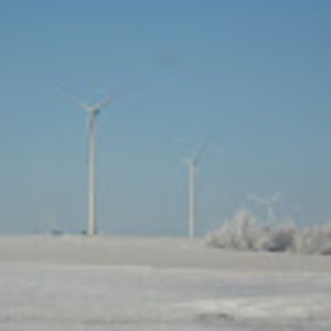 Meet your Posher, Jing